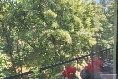 UMF-Biblioteca centrala-Copou - 2