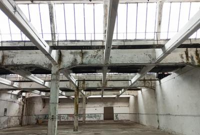Spațiu industrial, de 21,000 mp, în Central - 3