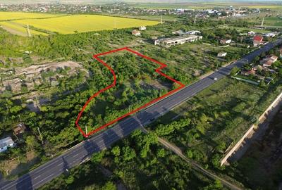 Teren Construcții intravilan de 10301 mp, în Exterior Nord - 1