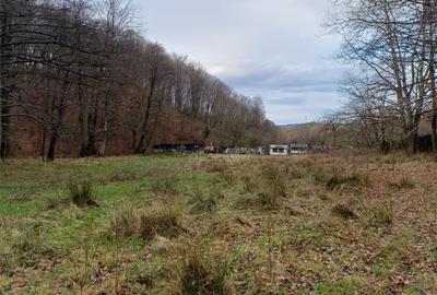 Resita, Teren Drept Intravilan, Langa Prau si Drum, Parcelab - 28