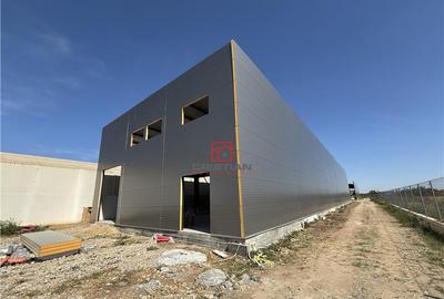 Depozit/hala/spatiu industrial Chiajna - Centura, ILFOV - 5