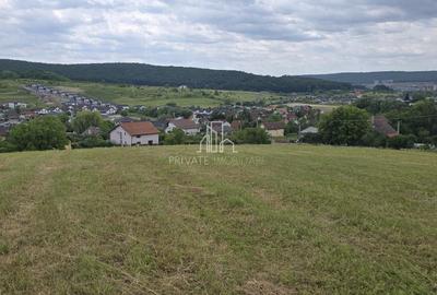 Parcele Teren de Vanzare(PUZ facut) 500 Mp, Str Progresului, Livezeni - 7