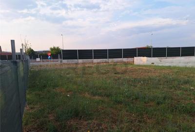 Reco, teren intravilan Alesd - 3