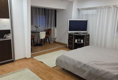 Garsonieră decomandată în Lacu - 4