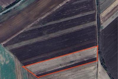 Spațiu comercial, în Lovrin - 1