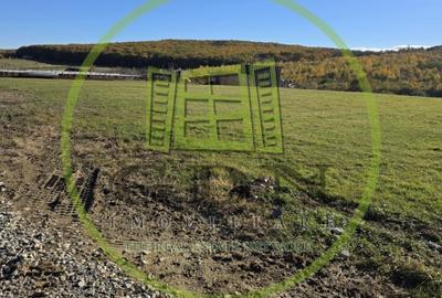 Teren Construcții intravilan de 1400 mp, în Sadu - 4