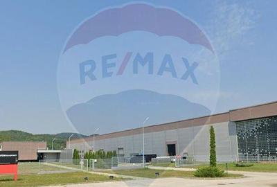 Teren de 2600 mp, în Tăuții-Măgherăuș - 5