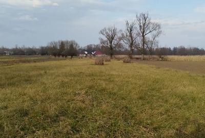 Casă cu 4 camere cu Teren 5400 Mp în Frătăuții Vechi - 4