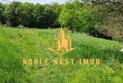 Teren extravilan 2200 mp - Budeasa Mica, Arge?, COMISION 0. - 5