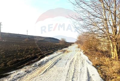 Teren agricol extravilan de 4956 mp, în Letea Veche - 8