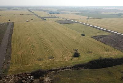 Teren ind 4.037 zona HAMILTON-HELLA_Giarmata - 4