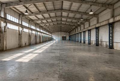 Spațiu industrial, de 3,700 mp, în Oncea - 5