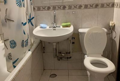 Apartament cu 3 camere semidecomandat în Valea Ialomiței - 2