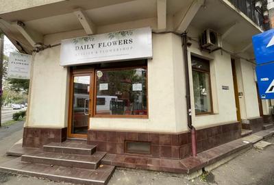 Spatiu de inchiriat Calea Dudesti 129 Spatiu de inchiriat Calea Dudesti 129 - 2