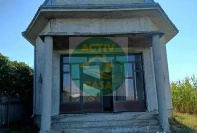 Casă cu 5 camere cu Teren 1200 Mp în Tămășeni - 1