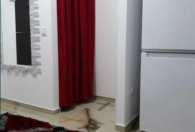 Garsonieră decomandată, mobilată în Nerva Traian - 5