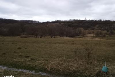 Teren de 2500 mp, în Central