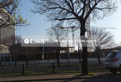 Spațiu comercial, de 800 mp, în Timpuri Noi - 8