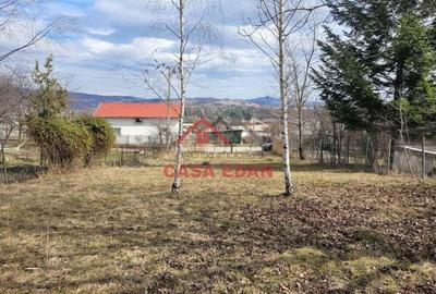 Teren intravilan in Poiana Campina --3676 mp--8e - 3