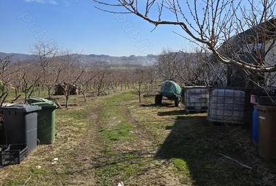 Casă cu 5 camere în Voinești - 2