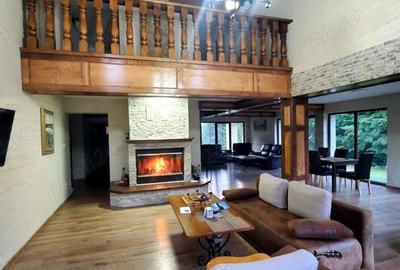 Casa de vacanta 3 niveluri P+E+M Colibita - 4