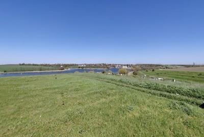 Teren agricol extravilan de 40000 mp, în Central - 6
