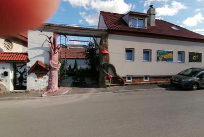 Casa De Vanzare cu parter, mansarda, beci boltit tip crama ?i ?ura amenajata foarte spa?ioasa - 5