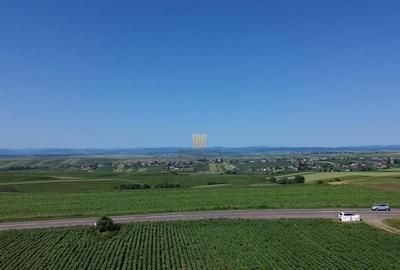 Teren Intravilan 36977 mp E 85 Intrare in Municip... - 16