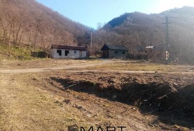 Teren de 7432 mp, în Săsciori - 11