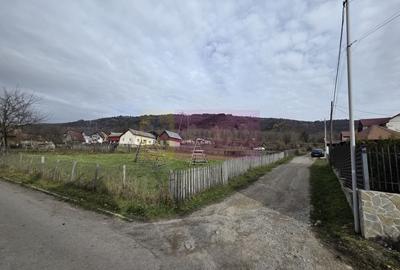 Vila de vacanta cu 4 camere de vanzare in Valea Doftanei - 5