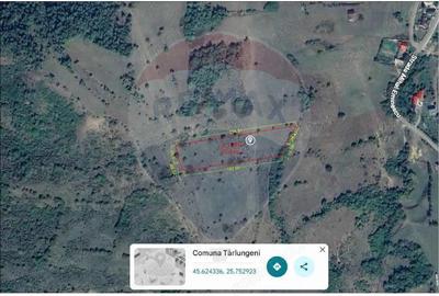 Teren de vanzare 8,700 mp Tarlungeni, comision 0 cumparator - 1