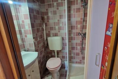 Colentina D-na Ghica langa Parcul Plumbuita, str. Pancota - 14