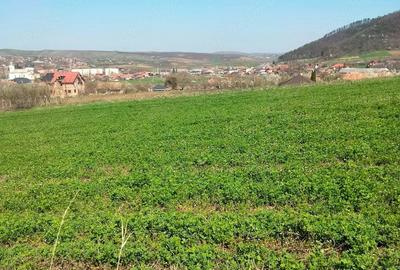 Teren de 3300 mp, în Râciu - 10