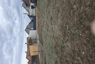 Vand casa cu gradina in Ciumeghiu - 2