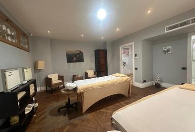 Casă cu 5 camere cu Teren 258 Mp în Dorobanți - 3