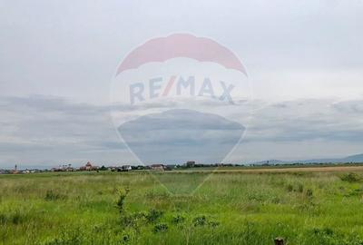Teren Construcții intravilan de 538 mp, în Hărman - 6