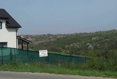 Spațiu comercial, în Săldăbagiu de Munte - 4