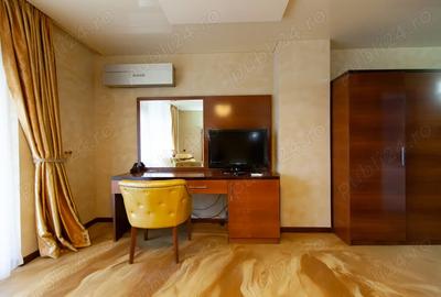 Inchiriez Apartament cu o camera Zona Terra Clinique - 3