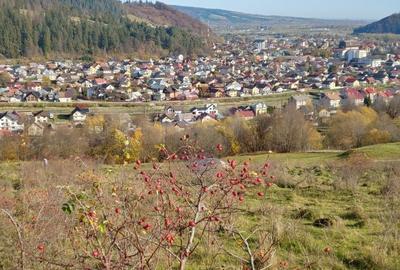 Teren cu suprafata de 2895 mp in Gura Humorului-Toaca-Boureni - 2