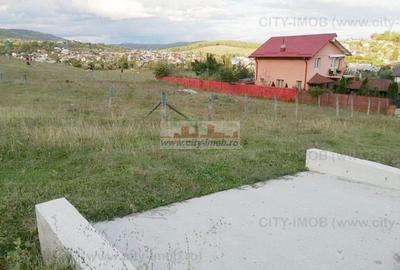 Teren Construcții intravilan de 500 mp, în Ocnița - 3