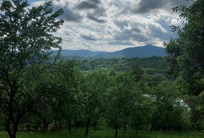 Teren de 3150 mp, în Poiana - 4