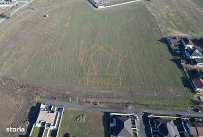 Spațiu comercial, în Moșnița Nouă