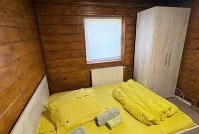 Cabana cu 4 dormitoare, foisor, ciubar, Statiunea Muntele Baisorii - 2