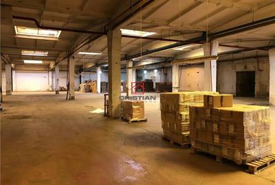 Spațiu comercial, de 15,000 mp, în Jilava - 4