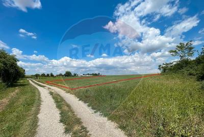 Teren investitie 4.350 mp | Balta Pasarea, langa Bucure?ti Teren investitie 4.350 mp | Balta Pasarea, langa Bucure?ti - 4