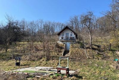 Casă individuală cu 5 camere cu Teren 8000 Mp în Ibănești - 2