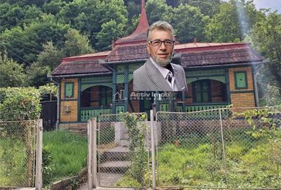 Bocsa, Casa Cocheta de Vacanta cu Teren. - 3