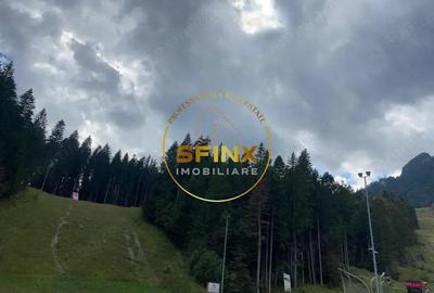 Pensiune 12 Camere ?i Restaurant - sta?iune turistica montana Bu?teni Pensiune 12 Camere ?i Restaurant - sta?iune turistica montana Bu?teni - 20