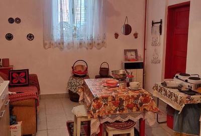 Casă cu 4 camere cu Teren 1500 Mp în Satchinez