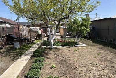 Casă cu 3 camere în Central - 1